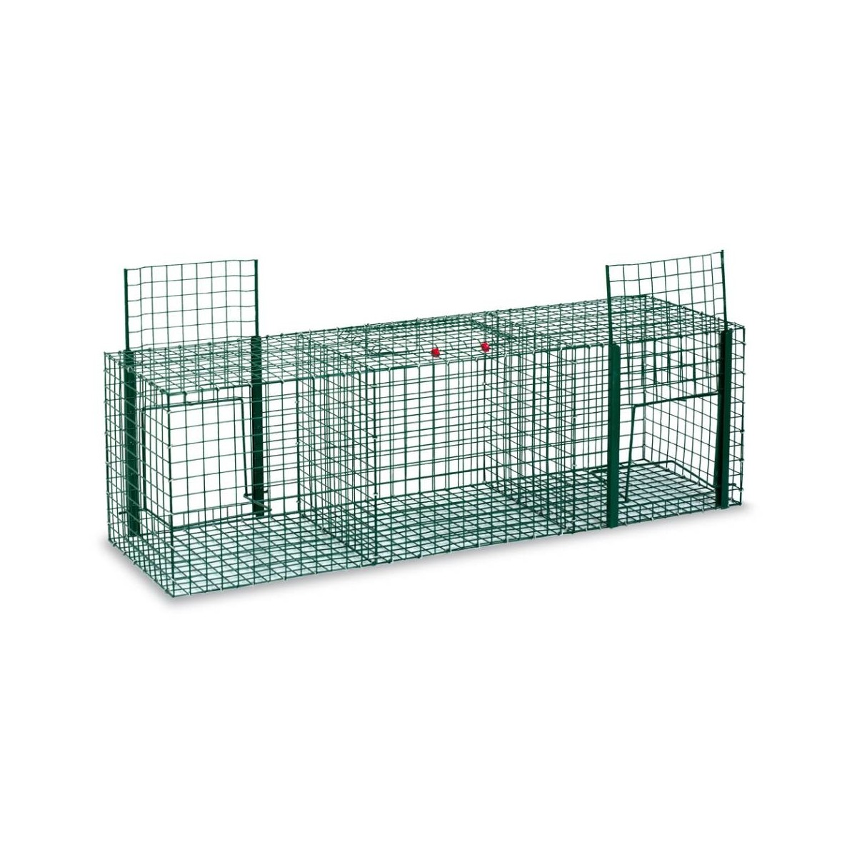 Trap Cage for Pigeons, Magpies, Crows - 3 compartments