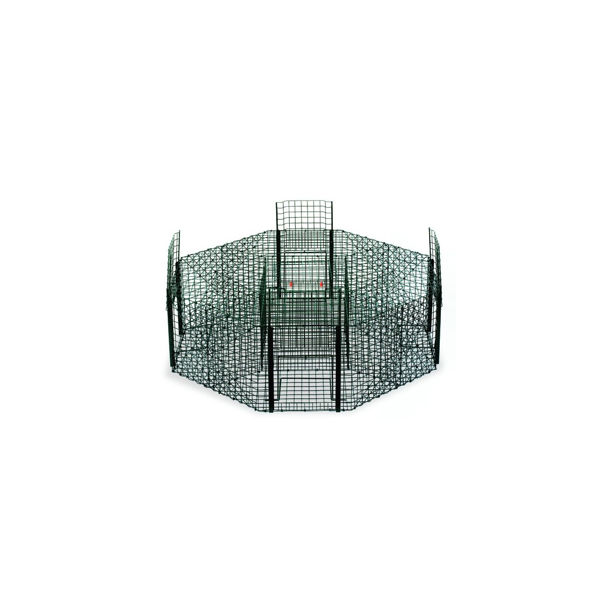 Trap Cage for Magpies, Pigeons, Crows - Octagonal